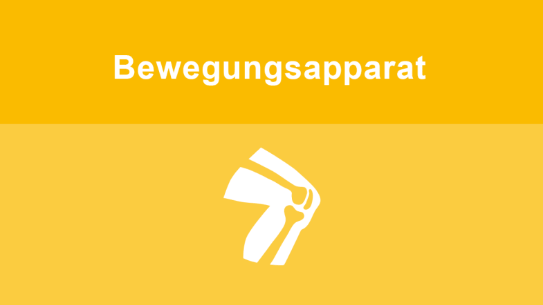 Bewegungsapparat