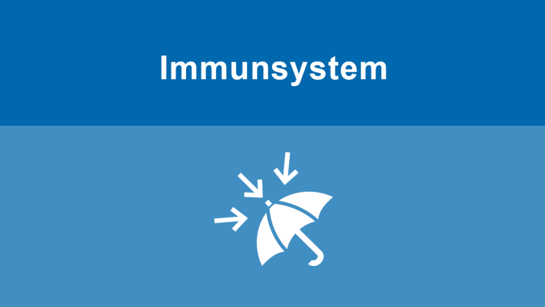 Immunsystem