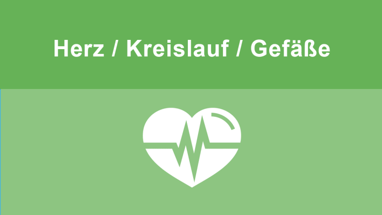 Herz Kreislauf Gefäße