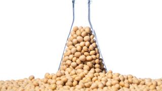 Nahrungsergänzungsmittel mit Soja- und Rotklee-Isoflavonen sind umstritten.