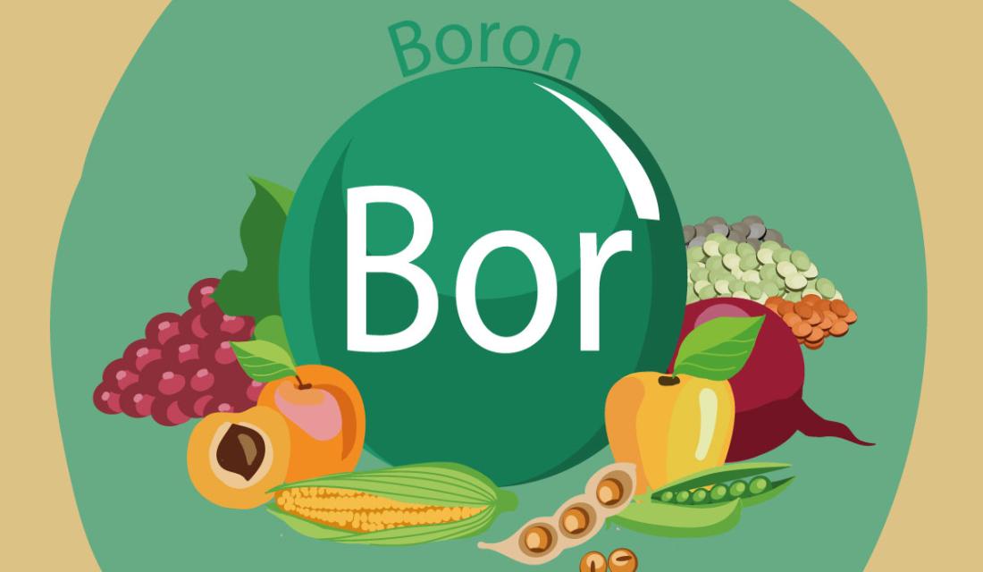 Bor Ein Gesundheitsrisiko Verbraucherzentrale De